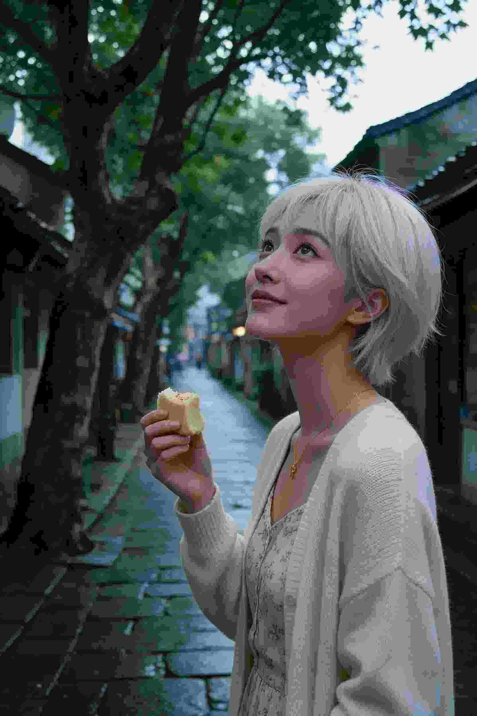 时光岛